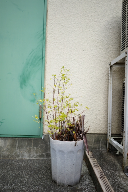 ../blogimage/ta/20240215_172705/20240215_172705_2.jpg