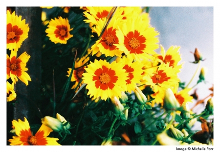 ../blogimage/ta/20240221_160831/20240221_160831_1.jpg