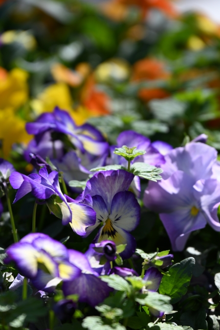 ../blogimage/ta/20240304_122726/20240304_122726_2.jpg