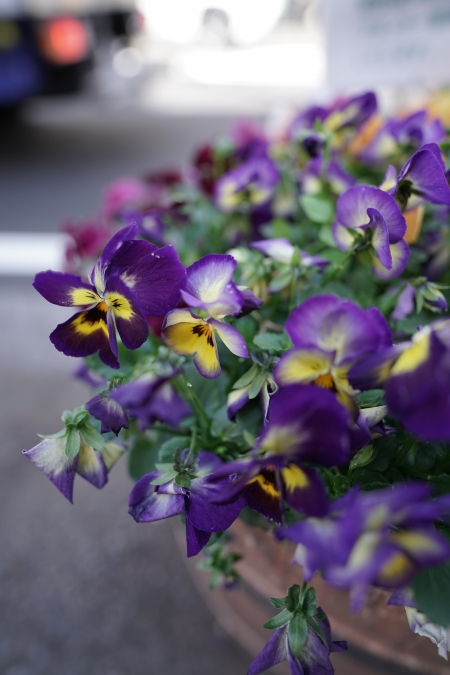 ../blogimage/ta/20240318_155949/20240318_155949_1.jpg