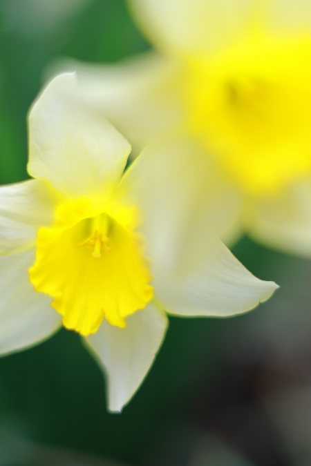 ../blogimage/ta/20240319_140650/20240319_140650_1.jpg
