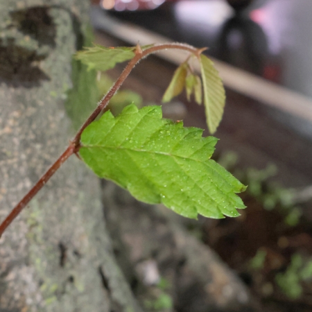 ../blogimage/ta/20240418_190239/20240418_190239_1.jpg