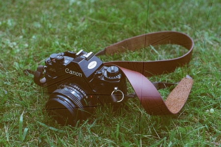../blogimage/ta/20240424_135554/20240424_135554_4.jpg