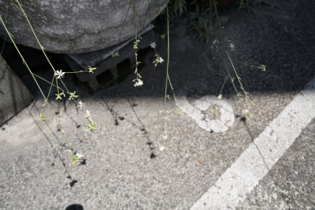 ../blogimage/ta/20240608_150628/20240608_150628_2.jpg