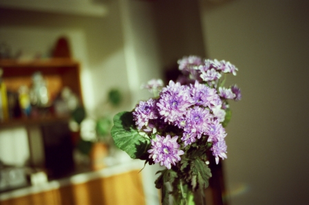 ../blogimage/ta/20240726_143126/20240726_143126_2.jpg