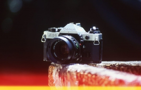 ../blogimage/ta/20250415_140307/20250415_140307_1.jpg
